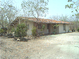 Adobe Staff House