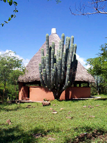 Classroom "La Palapa"