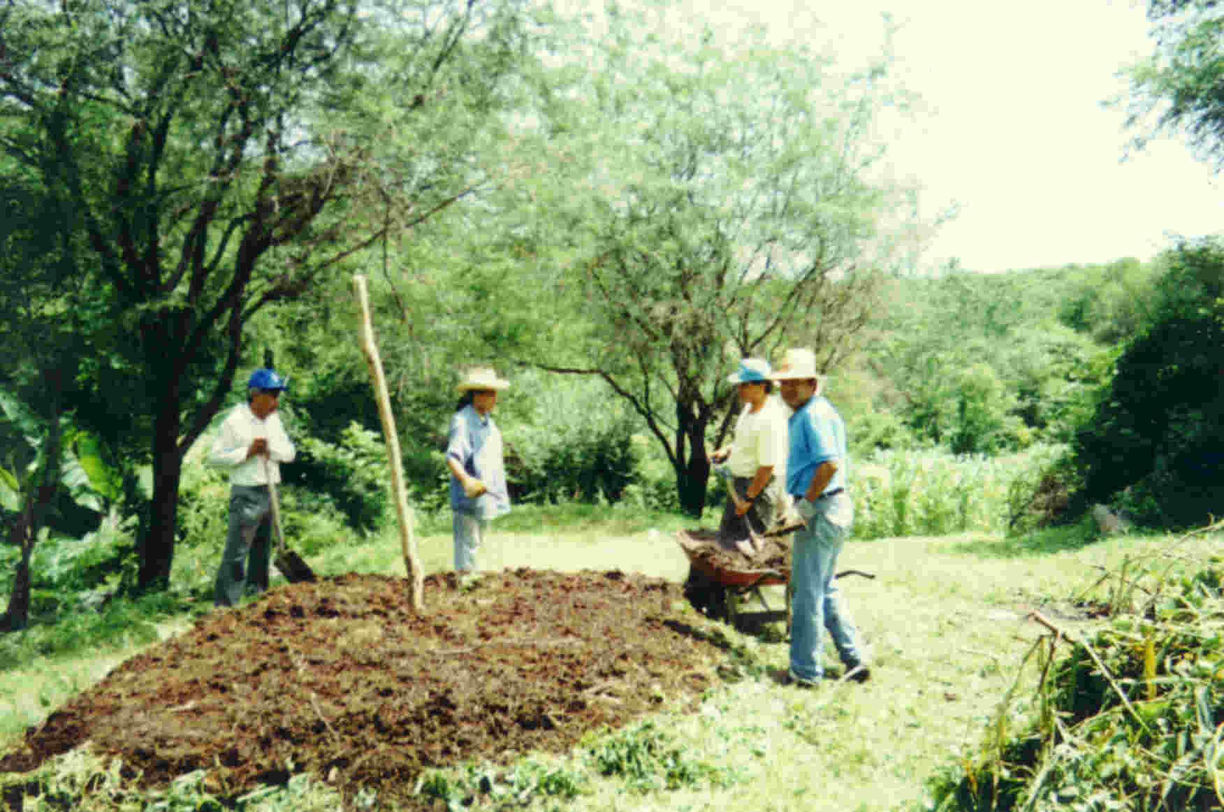 green compost