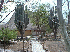 Dining Hall