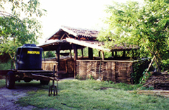 Pig Pens